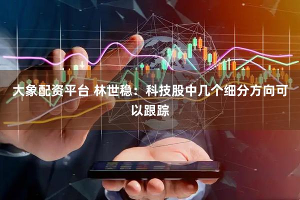 大象配资平台 林世稳：科技股中几个细分方向可以跟踪