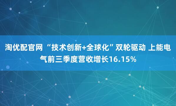 淘优配官网 “技术创新+全球化”双轮驱动 上能电气前三季度营收增长16.15%