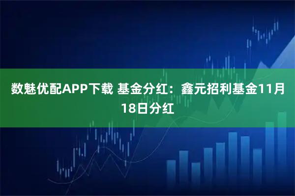 数魅优配APP下载 基金分红：鑫元招利基金11月18日分红