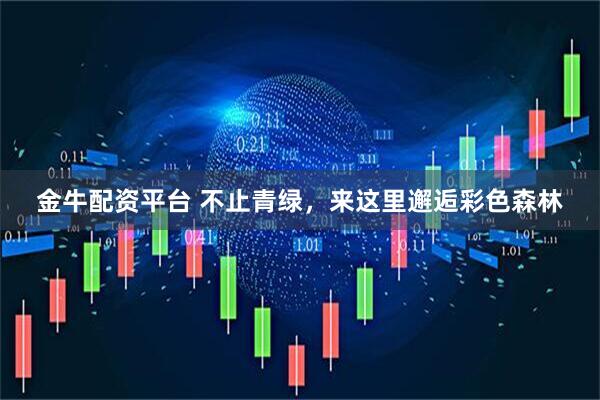 金牛配资平台 不止青绿，来这里邂逅彩色森林