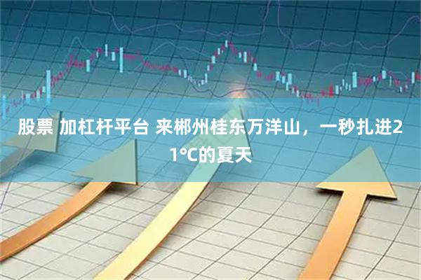 股票 加杠杆平台 来郴州桂东万洋山，一秒扎进21℃的夏天